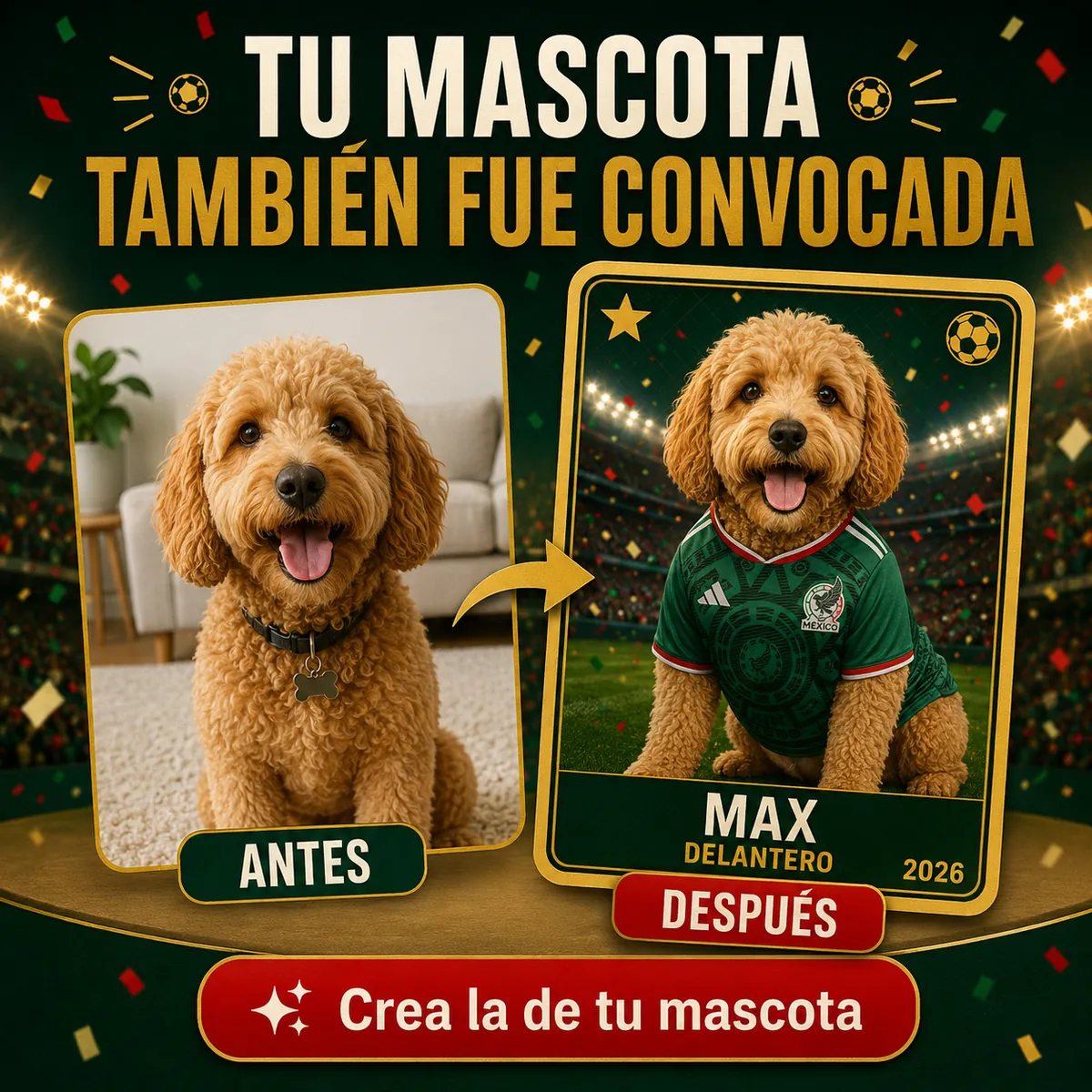 De foto a figurita — mascota antes y después